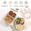 Stainless Steel Lunch Box Multi Compartment Plastic Lid Meal 4