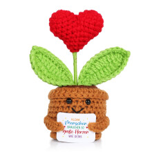 Teacher Gift Set with Knitted Potted Plant, Card and Bag for Appreciation, Farewell, Christmas