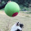 Balle de troupeau interactive pour chiens de petite et moyenne-S 5