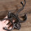 Multipurpose Cast Iron Wall Hook Clothes Organizer Metal 5
