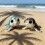 Zeeschildpadden Standbeeld Zeeschildpadden Beeldje Hars-Blauw 7