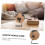 Small Decorative Desktop World Globe with Clear Geographic Mapping and Stable Base for Office 2