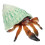 Hermit Crab Figurine Realistic Texture Durable Plastic Educational Model Aquarium Decoration 1