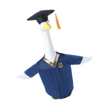 Attractive Bird Dress Up Collection With Graduation Cap And-1