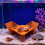 Customizable Herpeton Habitat Ascending Structure Anchorite 2
