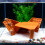Customizable Herpeton Habitat Ascending Structure Anchorite 6