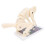 Flexible Spine Model with Clear Alignment Visualization for Weightlifting and Lumbar Training 2
