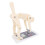 Flexible Spine Model with Clear Alignment Visualization for Weightlifting and Lumbar Training 3