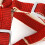 Adjustable Dog Harness Leash with Handle, 1.5x120cm Red 6