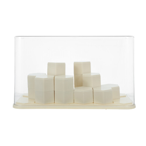 Large Clear Plastic Showcase Box for Dolls and Collectibles