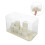 Large Clear Plastic Showcase Box for Dolls and Collectibles 4