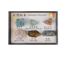 Rock and Mineral Collection Kit with Six Unique Natural Specimens, Bilingual Labels and Display Case No.4