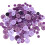 Easy to Use Assorted Resin Button for Sewing and-Purple1 series 1
