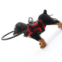 Schützendes Stoßstangenhalsband, Leine, Hundegeschirr für-3ROT