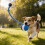 Automatic Rolling Ball Cats Dog Toy with-orange1 color 7