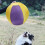 Balle interactive de jouet de chien de couleur vive pour-S 5