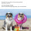 Windproof Dog Sunglasses with Heart-Shaped Frames, Adjustable, 4cm Lens 11