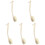 5Pcs Home Use Long Handle Bath Brush White Body Scrubber 1