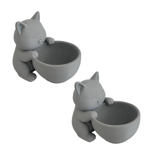 Pot de fleur de plante charnue d'océan de chaton en-Gris
