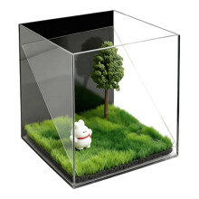 Personalize Pet Holographics Memorial Box Clear Hologram-1