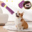 Jouet molaire de récompense interactif pour chiots, nettoyage 3