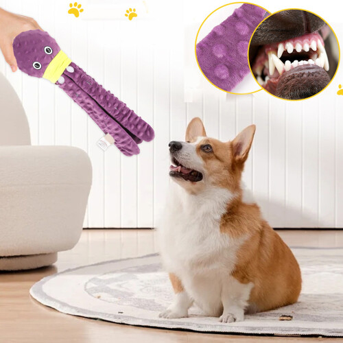 Jouet molaire de récompense interactif pour chiots, nettoyage 2
