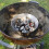 Support de barbecue en forme d'entonnoir, accessoire de gril en 5