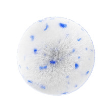 Bathroom Brush Crevices Scrubber Ergonomic Grip Bathroom-Blue