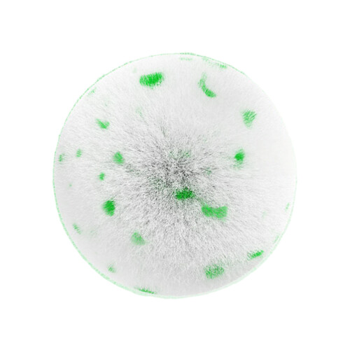 Bathroom Brush Ball Thicken Bristles for Tile Grout-Green