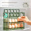 Practical Eggs Storage Tray Eggs Holder For Refrigerator-Clear 5