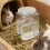 Automatic Pet Water Bottle With Leakproof Design 620ML For Small 7
