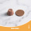 30Pcs Durable Plastic Mini Fake Food Dollhouse Pudding Decorations 5
