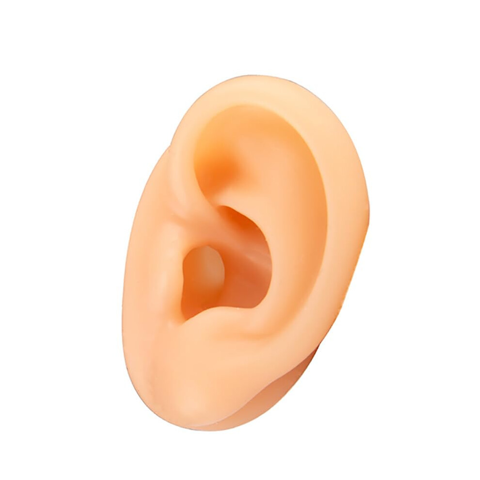 Silicone Left Human Ear Model for Piercing and Acupuncture Training with Realistic Reusable Texture