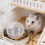 2Pcs White Plastic Hamster Exercise Wheel Quiet Small Pet Running Ball 3