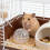 2Pcs White Plastic Hamster Exercise Wheel Quiet Small Pet Running Ball 6