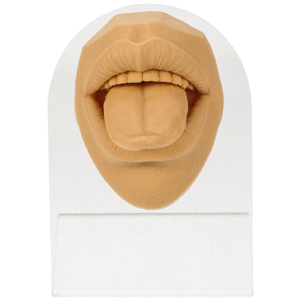 Realistic Silicone Mouth and Tongue Piercing Practice Model with Stand for Jewelry Training