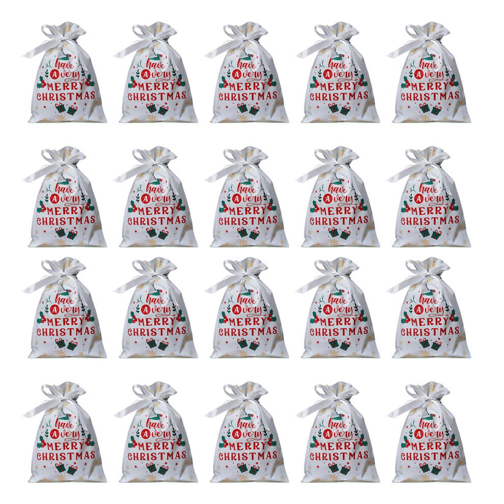 Reusable Plastic Holiday Party Favor Bags with-Little English
