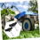 Mower Replacement Bolts and Nuts Set for Snapper THandle, Durable Metal, Quick Installation 5