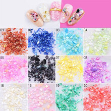 Nail Art Decoration 3D Seashell Crushed Shell Set Mixed Colors Ocean Theme Acrylic Accessories 12pcs