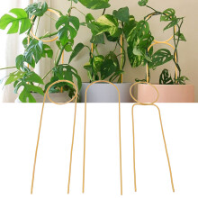 40 cm Schmiedeeisen-Pflanzenrankhilfe für drinnen, grüner Kletterstütz, gold