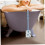 Long Handle Back Scrubber for Shower, Body Exfoliating Brush with Deep Cleaning and Massage Function 2