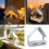 Window Birds Feeders for Quickly Attachment and Enjoyable-brown 4
