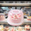 Handheld Cake Transport Box Clear Viewing Cover for-Pink 5
