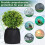 Packung mit 2 Allround-Pflanzen-Winterschutzmitteln, die ein-XL 6