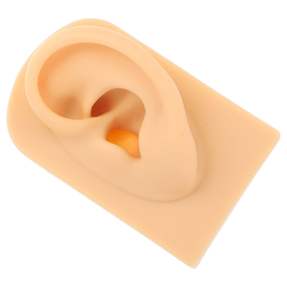 Realistic Silicone Ear Model for Piercing Training and Jewelry Display, Reusable Practice Dummy