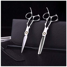 6 Inch Professional Hairdressing Scissors Set, Japan Steel Barber Scissors with Ergonomic Grip and Precise Cutting Performance for Salon, Silver