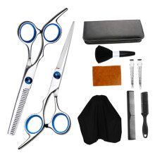 10pcs Professional Hair Cutting Scissors Set with Ergonomic Handle, Comb and Salon Accessories
