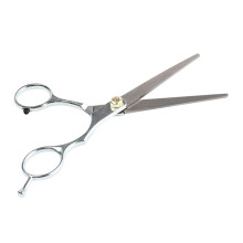 Hair Cutting Scissors Stainless Steel Professional Hairdressing Shears for Salon and Home Use
