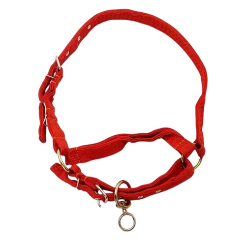 Collier de tête de bétail durable et confortable doté de-M