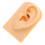Silicone Ear Model for Piercing Practice, Realistic Reusable Training Ear for Jewelry Display 1